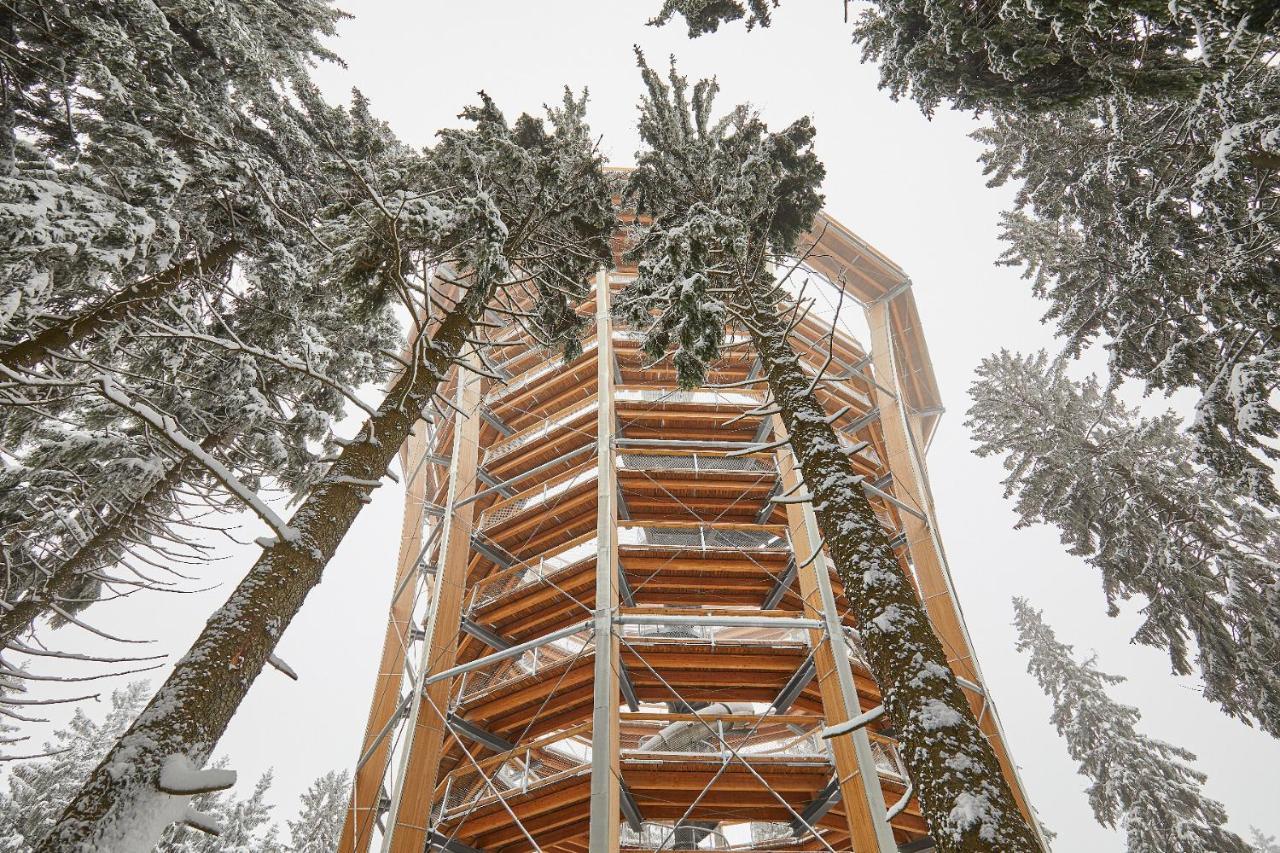 Ski Hotel Svoboda Nad Upou Exterior photo